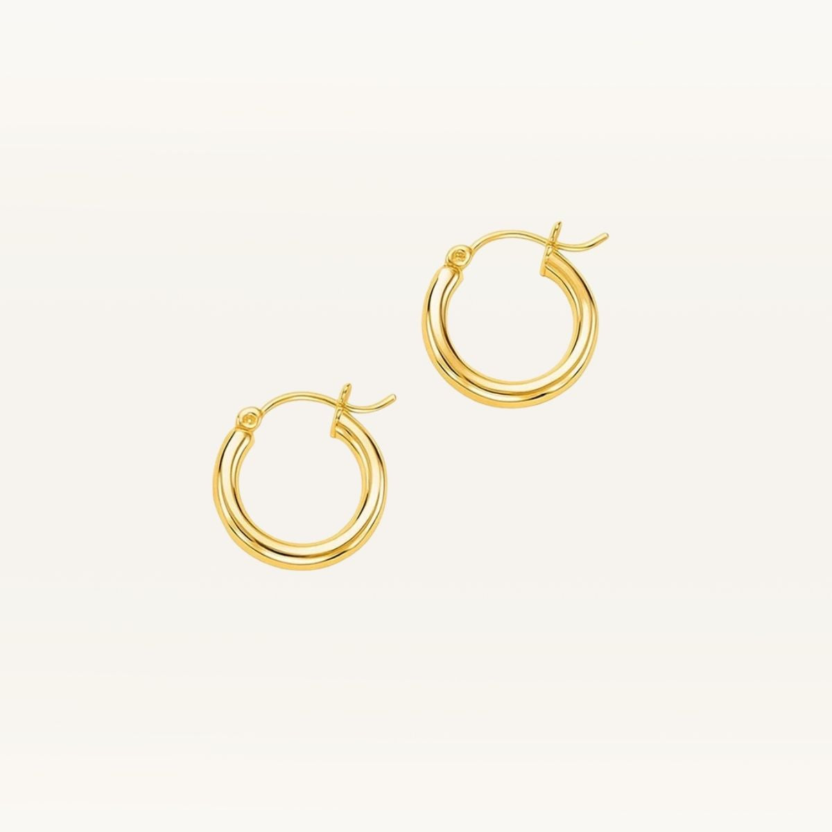 Small Hoop Earrings