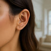 Curve Climber Earrings