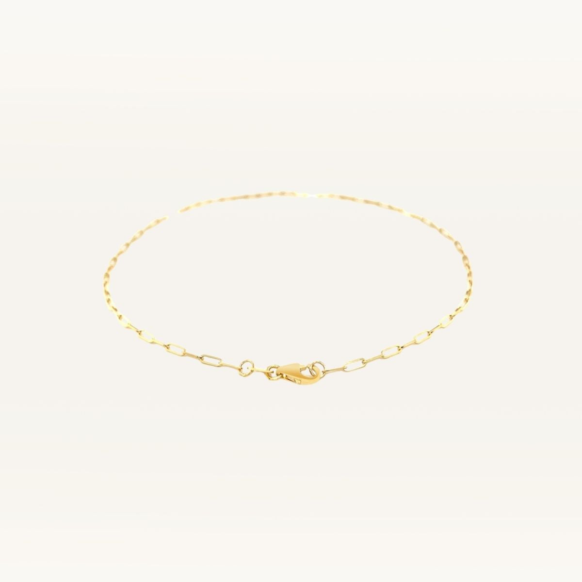 Paperclip Chain Anklet
