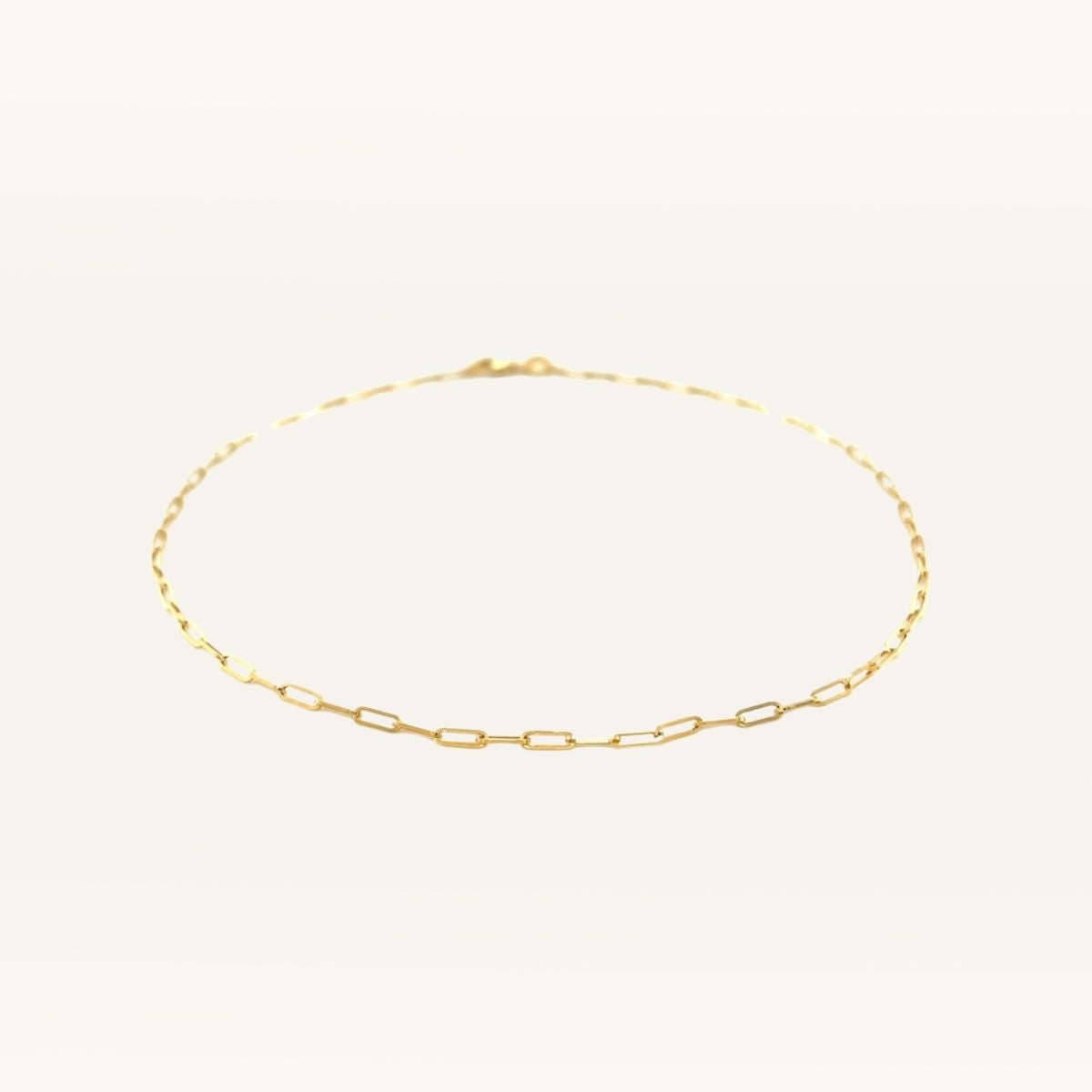 Paperclip Chain Anklet