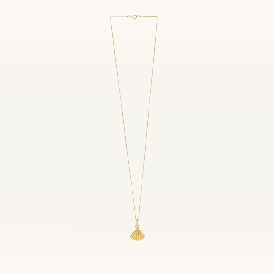 Sea Shell Necklace