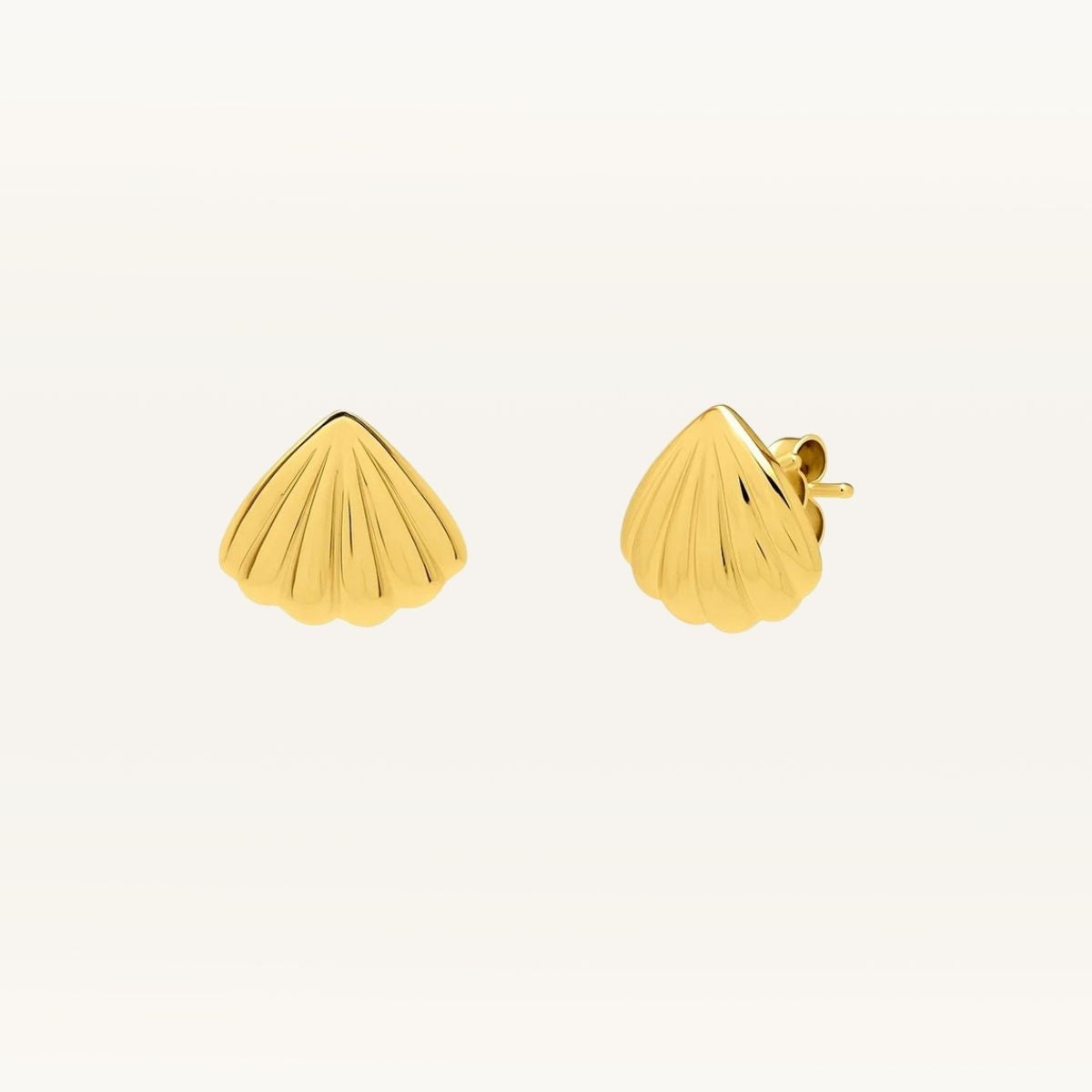 Sea Shell Stud Earrings