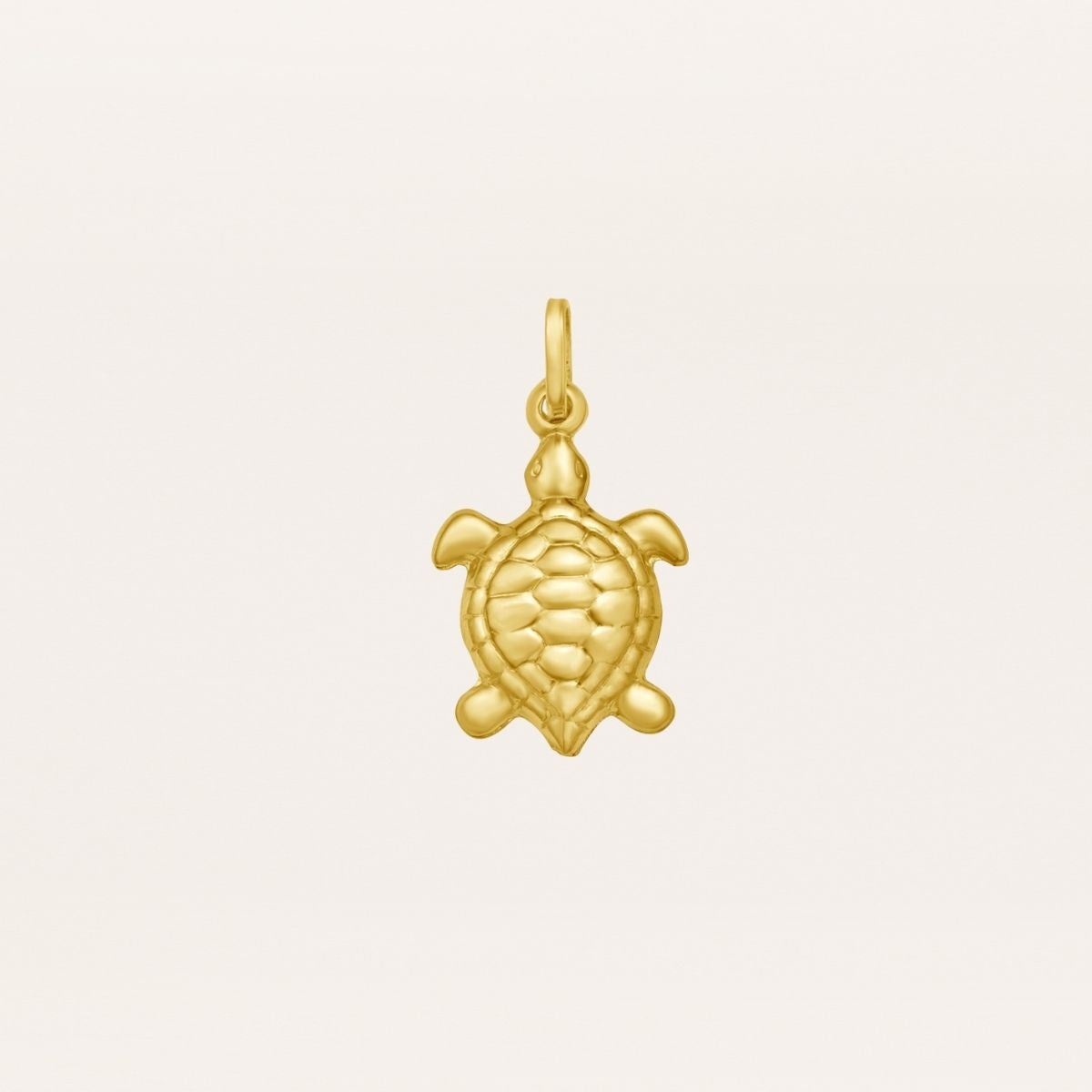 Turtle Pendant