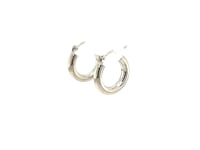 Small Hoop Earrings