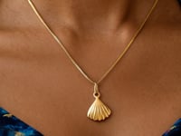 Sea Shell Necklace